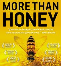 More than Honey